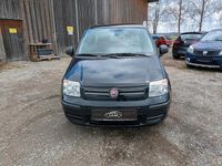 Gebraucht Fiat Panda Active 54 PS (39 kW) 2009 Blau Kleinwagen