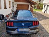 gebraucht Ford Mustang 3.7l V6 US Import