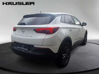 Gebraucht Opel Grandland X 131 PS (96 kW) 2022 Jade weiss SUV