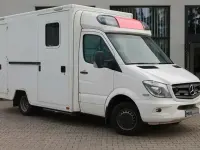 Gebraucht Mercedes Sprinter 190 PS (139 kW) 2019 Andere Van