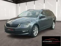 Gebraucht Skoda Octavia Clever 116 PS (85 kW) 2019 Grau Kombi