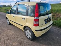 gebraucht Fiat Panda 1.1 Rentnerfahrzeug 52000 1.Hand