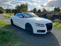 Gebraucht Audi S5 Sport 333 PS (244 kW) 2010 Weiß Coupé