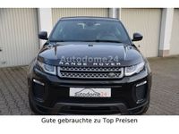 gebraucht Land Rover Range Rover evoque Cabriolet SE Dynamic Leder NAVI Garantie