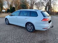 gebraucht VW Golf VII 