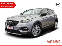 Gebraucht Opel Grandland X 131 PS (96 kW) 2020 Grau SUV