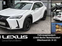 Gebraucht Lexus UX 250h Executive Line 184 PS (135 kW) 2022 Weiß SUV