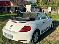 Gebraucht VW Beetle Edition 105 PS (77 kW) 2014 Weiß Kleinwagen