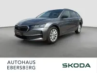 Gebraucht Skoda Octavia Selection 150 PS (110 kW) 2025 Grau Kombi