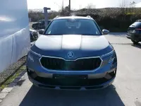Neu Skoda Kamiq Premium Edition 150 PS (110 kW) 2026 Grau SUV