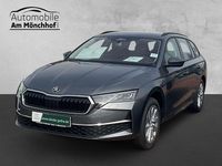 Neu Skoda Octavia Selection 150 PS (110 kW) 2026 Grau Kombi