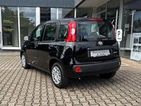 Neu Fiat Panda 69 PS (50 kW) 2025 Cinema schwarz Kleinwagen