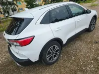 Gebraucht Ford Kuga Titanium X 152 PS (111 kW) 2021 Weiß SUV
