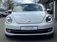 Gebraucht VW Beetle Cup 105 PS (77 kW) 2014 Weiß Kleinwagen