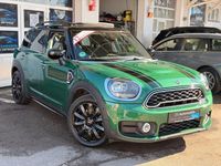 Gebraucht Mini Countryman 192 PS (141 kW) 2019 Grün SUV