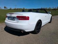 Używany Audi A5 Cabriolet 211 KM (155 kW) 2009 Biały Kabriolet