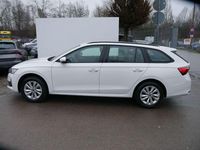 Neu Skoda Octavia Selection 150 PS (110 kW) 2026 Weiss Kombi
