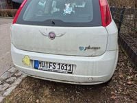 Gebraucht Fiat Punto Dynamic 77 PS (56 kW) 2009 Weiß Kleinwagen