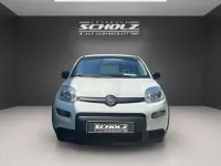 Gebraucht Fiat Panda 71 PS (52 kW) 2024 Weiß Kleinwagen