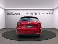 Gebraucht Mazda CX-5 Sports-Line 184 PS (135 kW) 2020 Rot SUV