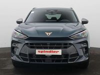 Gebraucht Cupra Terramar VZ 177 PS (130 kW) 2025 Fjordblau SUV