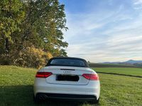 Gebraucht Audi A5 Cabriolet S-Line 177 PS (130 kW) 2014 Weiß Cabrio