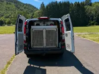 Gebraucht Mercedes Viano 190 PS (139 kW) 2010 Weiß Van / Kleinbus
