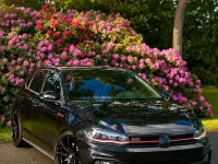 Używany VW Polo GTI 252 KM (185 kW) 2019 Czarny Hatchback
