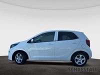 Gebraucht Kia Picanto Vision 67 PS (49 kW) 2024 Weiss ((ud) schneeweiss) Kleinwagen