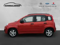 Gebraucht Fiat Panda 69 PS (50 kW) 2013 Rot Kleinwagen