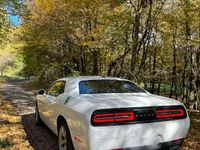 Gebraucht Dodge Challenger SXT 309 PS (227 kW) 2016 Coupé
