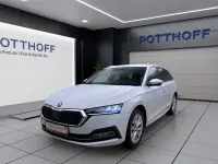 Gebraucht Skoda Octavia Style 150 PS (110 kW) 2022 Moonweiß perleffekt Kombi
