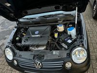 Gebraucht VW Lupo 50 PS (36 kW) 2002 Schwarz Kleinwagen