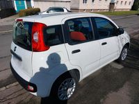 Gebraucht Fiat Panda 69 PS (50 kW) 2020 Weiß Kleinwagen