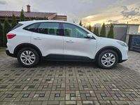 Używany Ford Kuga Titanium 120 KM (88 kW) 2021 Biały SUV