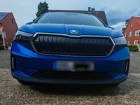 Gebraucht Skoda Enyaq iV 150 kW (204 PS) 2023 Blau SUV