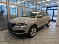 Gebraucht Skoda Karoq Ambition 150 PS (110 kW) 2020 Grau SUV