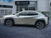 Gebraucht Lexus UX 250h 184 PS (135 kW) 2023 Other SUV