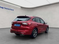 Gebraucht Ford Kuga ST-Line 151 PS (111 kW) 2024 Rot SUV