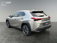 Gebraucht Lexus UX 250h 184 PS (135 kW) 2022 Metallic SUV
