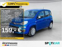 Gebraucht Fiat Panda 65 PS (47 kW) 2025 Italia blau Kleinwagen