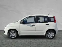 Gebraucht Fiat Panda Pop 69 PS (50 kW) 2025 Weiß Limousine