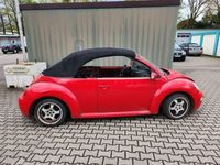 gebraucht VW Beetle NewCabrio BJ 2003 1,6l zum Teil geschlachtet.