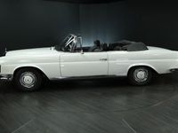 Gebraucht Mercedes 250 SE 150 PS (110 kW) 1966 Papyrus weiß 717 Cabrio