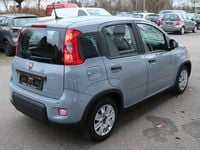 Gebraucht Fiat Panda 69 PS (50 kW) 2023 Grau Kleinwagen
