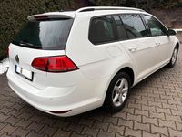 Gebraucht VW Golf VII Allstar 150 PS (110 kW) 2016 Weiß Kombi