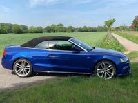 Gebraucht Audi A5 Cabriolet S-Line 218 PS (160 kW) 2016 Blau Cabrio