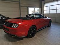 gebraucht Ford Mustang GT Mustang Convertible 5.0 Ti-VCT V8 55 Fifty Five