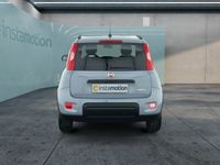 Gebraucht Fiat Panda 69 PS (50 kW) 2023 Grau Kleinwagen