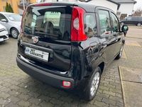 gebraucht Fiat Panda 